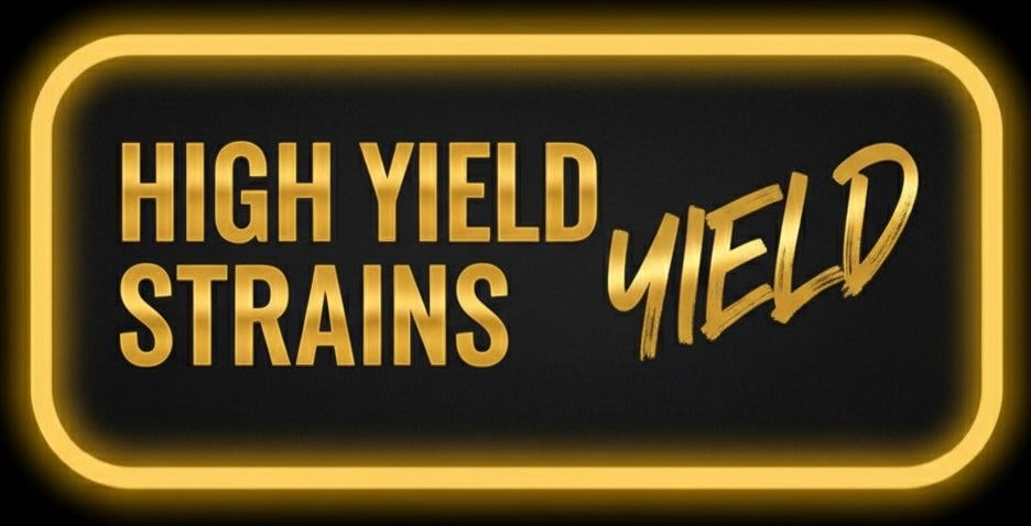 HIGH YIELD