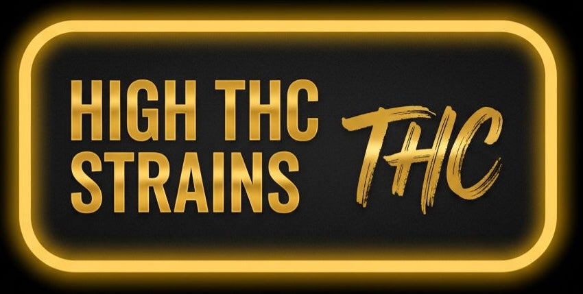 HIGH THC STRAINS