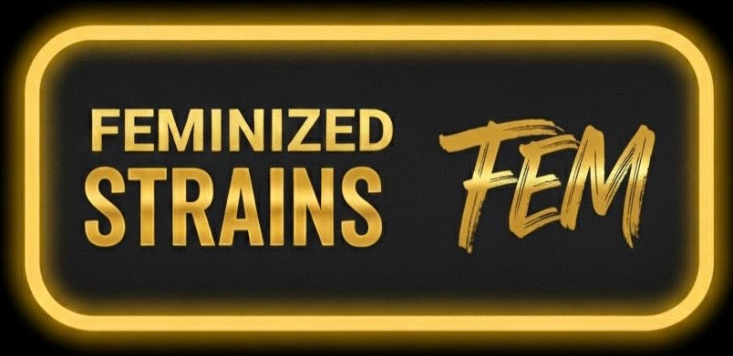 FEMINIZED STRAINS