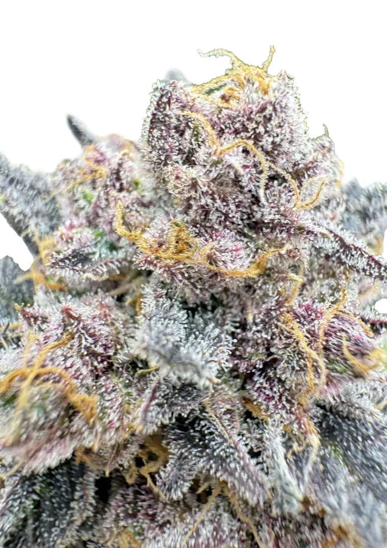 Cherry Cola Auto RF3